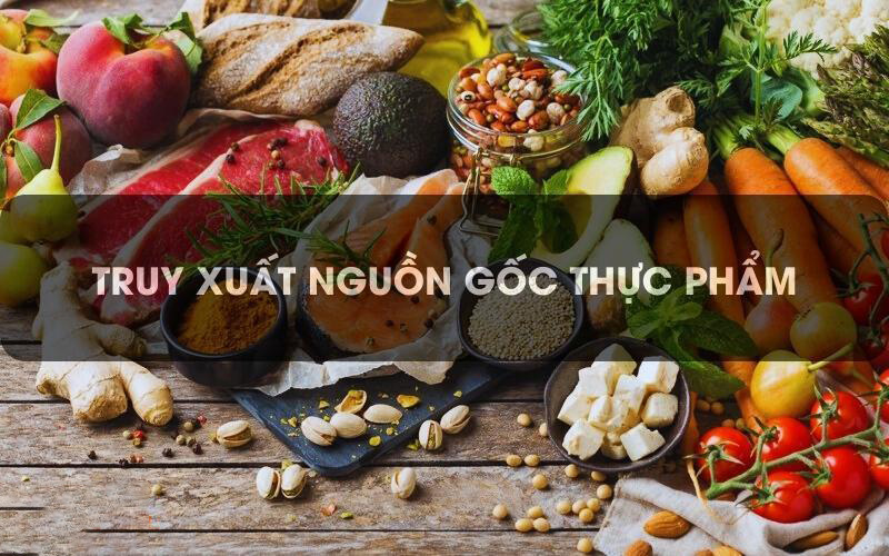 Nguồn gốc xuất xứ
