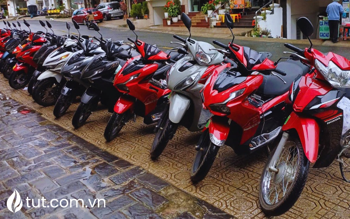 dịch vụ cho thuê xe máy đà lạt giá rẻ uy tín